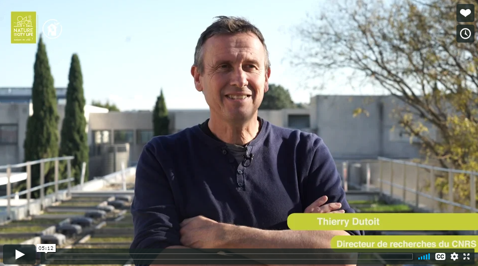 Interwiew-Thierry Dutoit_Directeur Recherche CNRS_Video