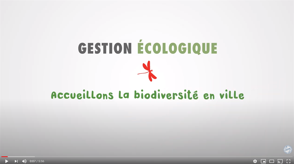 Gestion écologique _ accueillons la biodiversité en ville_VIDEO