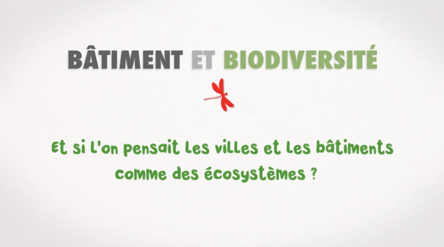 Bâtiment et biodiversité. Et si l'on pensait les villes et les bâtiments comme des ecosystemes_VIDEO